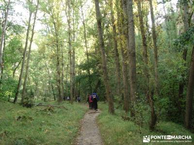 Hoces del Río Duratón - Sepúlveda;hiking free gratis senderismo viajes mayo senderismo